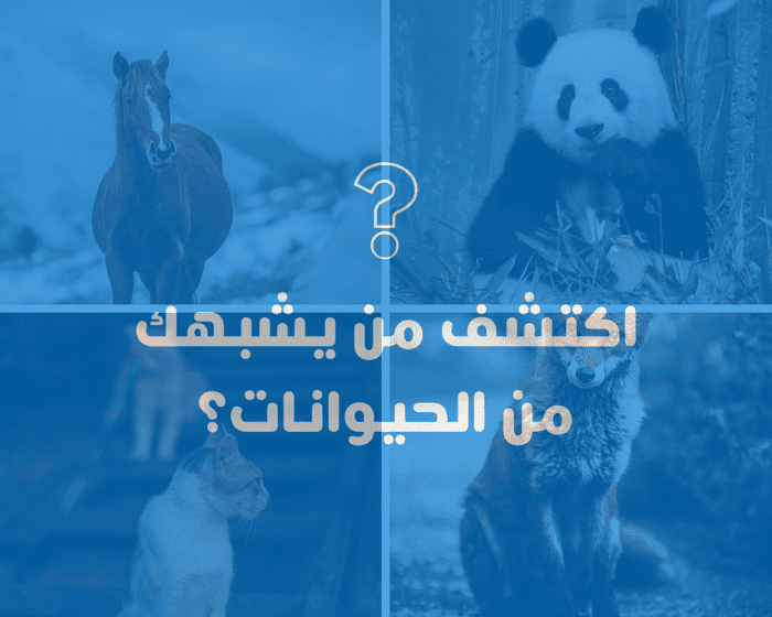 Find out which animal is similar to you?